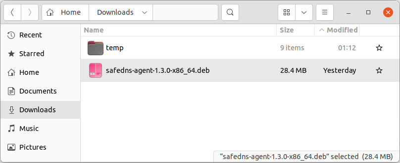 2.SafeDNS Agent for Linux Setup Guide.png