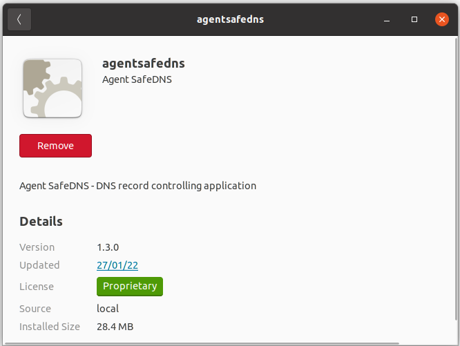 4.SafeDNS Agent for Linux Setup Guide.png