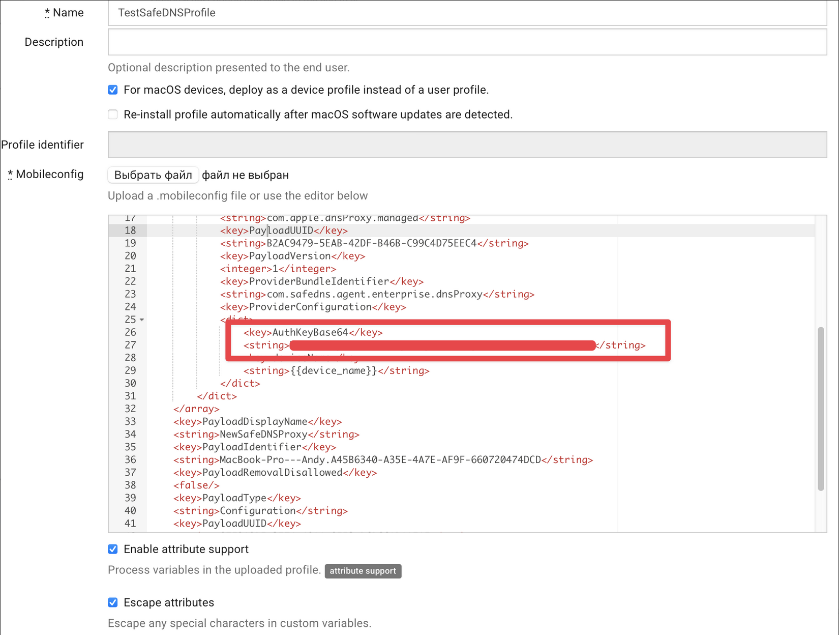 SafeDNS Application deployment using MDM .png