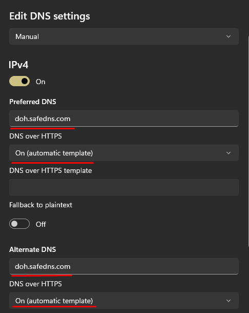 2-encrypted-dns-windows-setup.png